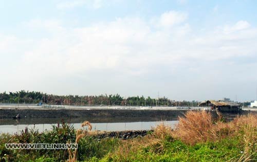 Phòng ngừa khí độc H₂S trong ao nuôi tôm: Biện pháp bảo vệ sức khỏe và năng suất tôm nuôi