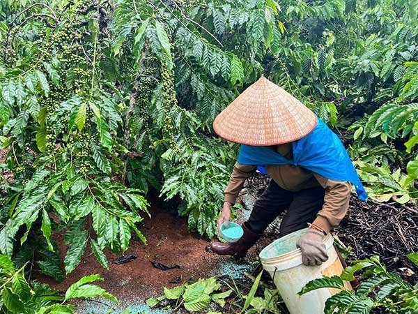 Cần giải pháp căn cơ xử lý dư lượng hóa chất trong nông sản