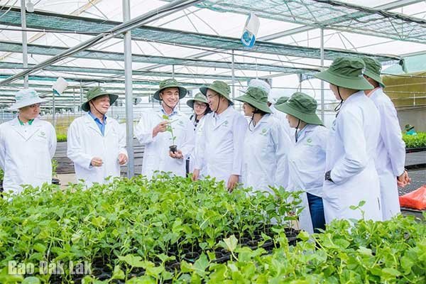 Để chanh dây rộng đường xuất khẩu chính ngạch