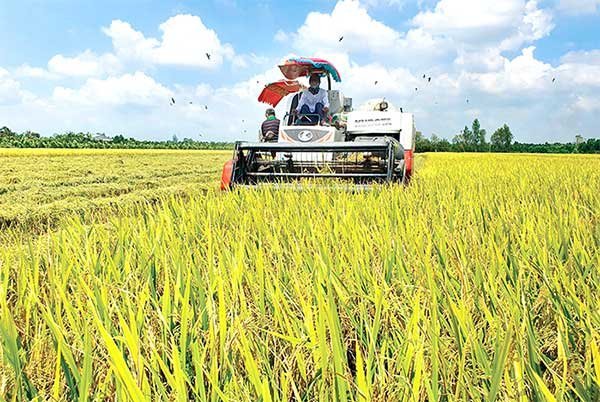 Chuyển đổi sinh thái, phát triển kinh tế tuần hoàn tại ĐBSCL 