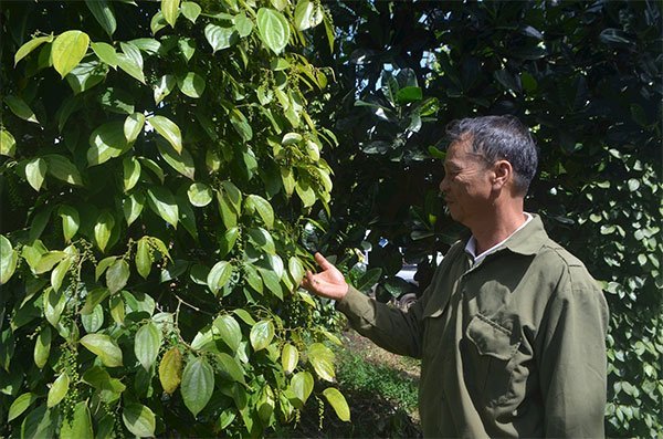 Hồ tiêu chuẩn quốc tế ở xã biên giới