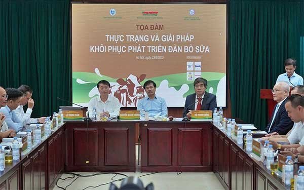 Ngành chăn nuôi bò sữa: Hướng tới chuỗi liên kết khép kín để hợp tác phát triển