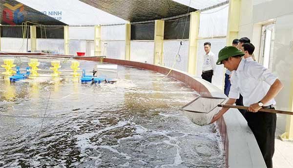 Phát triển kinh tế hợp tác xã trong bối cảnh mới