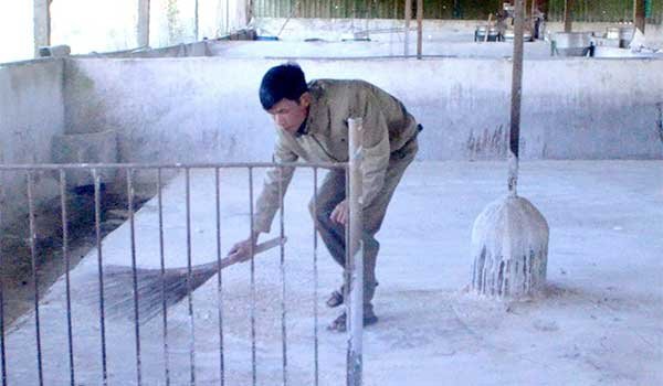 Kinh nghiệm dập dịch tả heo châu Phi ở Lâm Ðồng