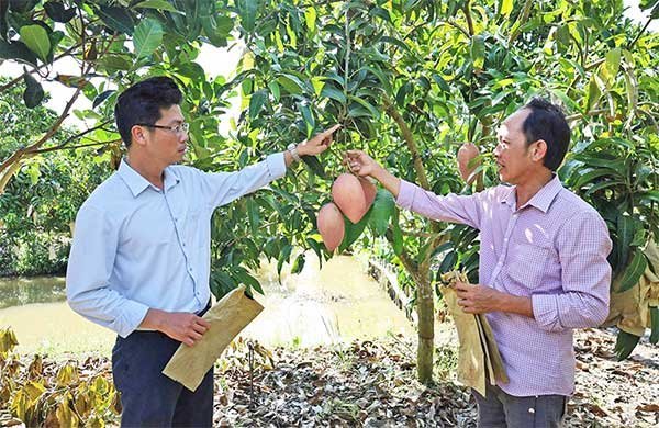 Mã số vùng trồng – ‘đòn bẩy’ cho nông sản vươn xa