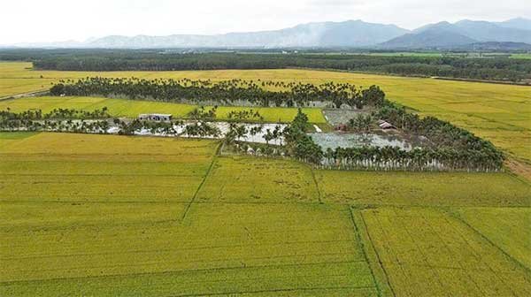 Khởi nghiệp với mô hình ốc bươu đen, tạo việc làm cho hơn 40 thanh niên