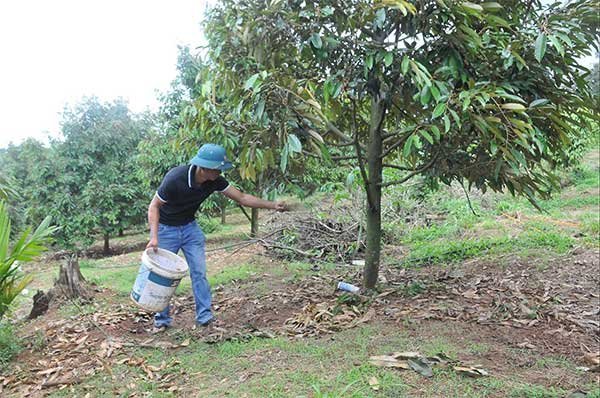 Nhận diện kim loại nặng trong canh tác nông nghiệp