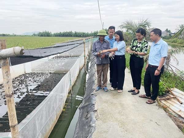 Hai nguồn thu trên cùng mặt nước – Mô hình nuôi ếch, cá rô phi cho thu nhập vượt trội