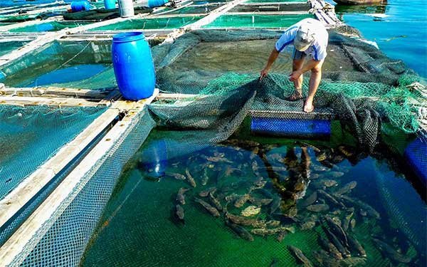 Lợi ích ‘kép’ từ nuôi thủy sản kết hợp du lịch
