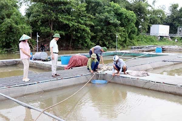 Những việc người nuôi trồng thủy sản cần làm để phòng tránh và ứng phó với mưa bão