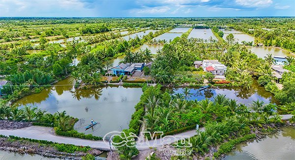 Sáng tạo nuôi cua, nâng giá trị thương phẩm