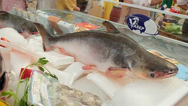 Thị trường cá tra nửa cuối 2025: Nguồn cung thắt chặt, giá xuất khẩu có xu hướng phục hồi