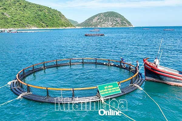 Vươn khơi nuôi biển: Mốc son cho ngành nuôi biển Việt Nam