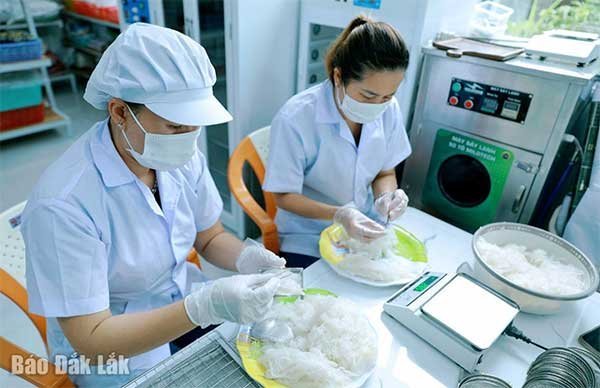 Hiệu quả từ nghề nuôi chim yến