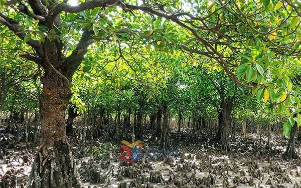 Bảo vệ môi trường biển bền vững