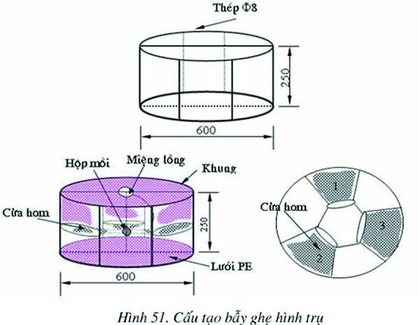 Nghề khai thác ghẹ Việt Nam đáp ứng tiêu chuẩn bảo vệ động vật biển theo MMPA