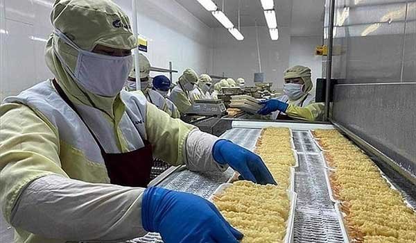 Xuất khẩu tôm 9 tháng: Tăng mạnh nhất trong 3 năm, hướng tới quý IV nhiều biến động