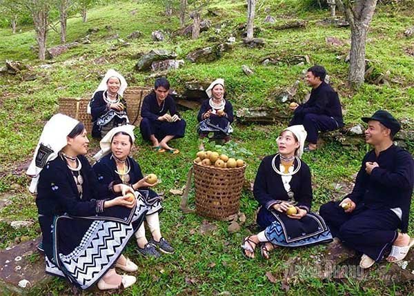 Du lịch nông nghiệp nâng tầm kinh tế nông thôn