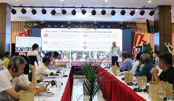 Đắk Lắk: Hỗ trợ nông dân trồng ca cao phát triển nông nghiệp tái sinh