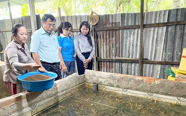 Khởi nghiệp với nghề nuôi lươn