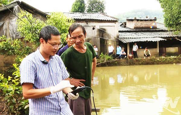 Thái Nguyên: Hỗ trợ khôi phục sản xuất thủy sản sau thiên tai