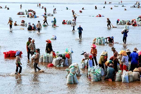 Vĩnh Long sau sáp nhập: Bứt phá từ kinh tế biển