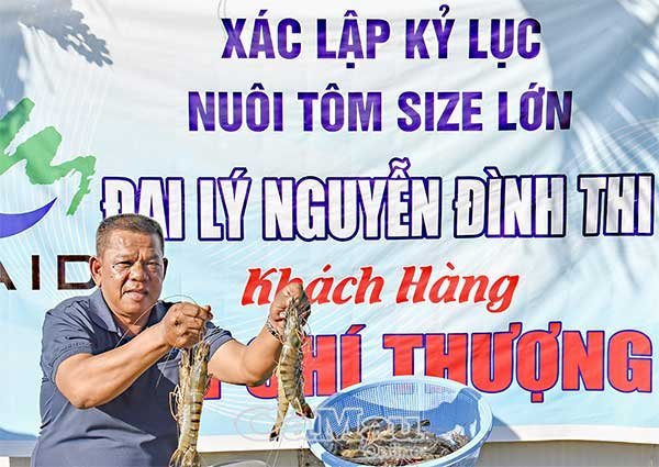Kỷ lục nuôi tôm size lớn, lãi tiền tỷ