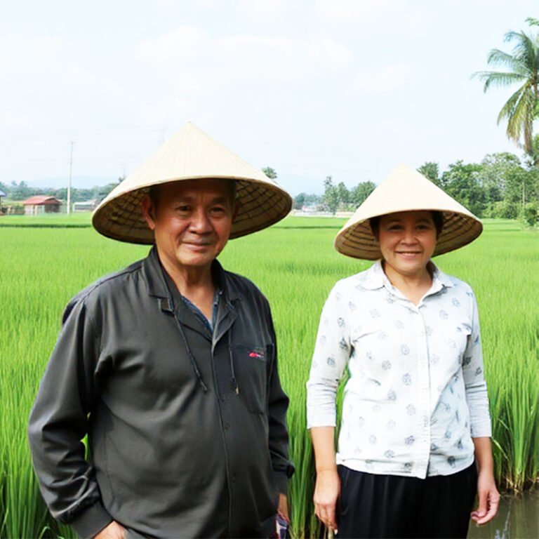 Bến bờ hạnh phúc