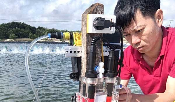 Nâng cao kỹ năng nuôi tôm bằng công nghệ số cho người dân