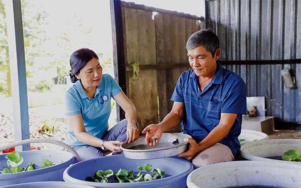 Năng động làm giàu 
