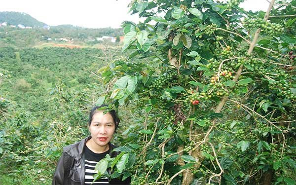 Người tâm huyết với cà phê đặc sản