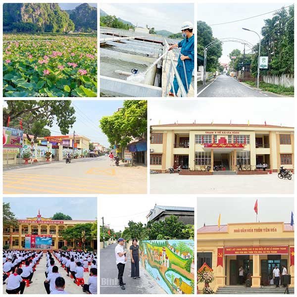 Ninh Bình: Hoạt động sản xuất chăn nuôi được duy trì ổn định