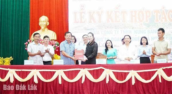 Phát triển mô hình liên kết sản xuất, tiêu thụ cá rô phi đơn tính