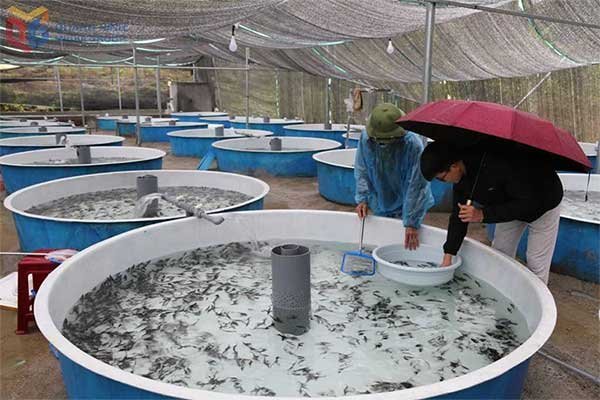 Sản xuất bền vững, bảo tồn nguồn lợi biển