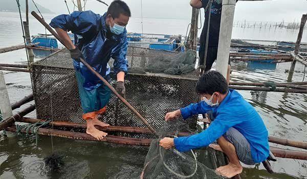 TP Huế: Thiệt hại nặng nề, ngành nông nghiệp cần hỗ trợ khẩn cấp cây, con giống