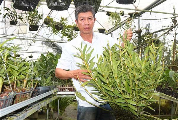 ‘Thủ phủ’ của lan rừng