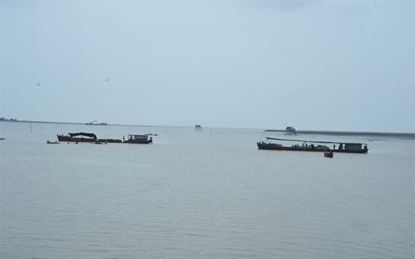 Ninh Bình: Tổng sản lượng thủy sản nuôi trồng và khai thác biển đạt 233.688 tấn