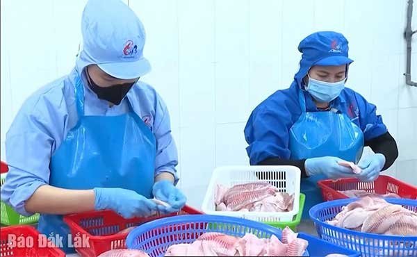 Triển vọng mới cho thủy sản nước ngọt