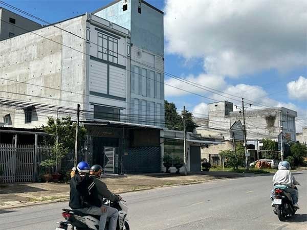 Thu tiền tỷ từ ‘vàng trắng’ chim trời