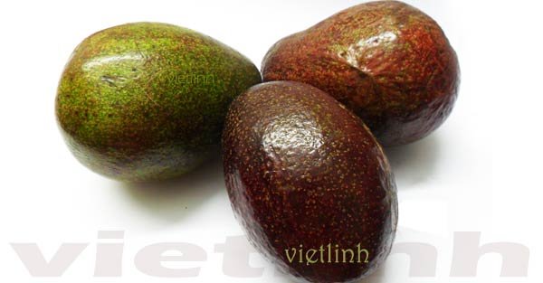 Cách chọn trái bơ ngon