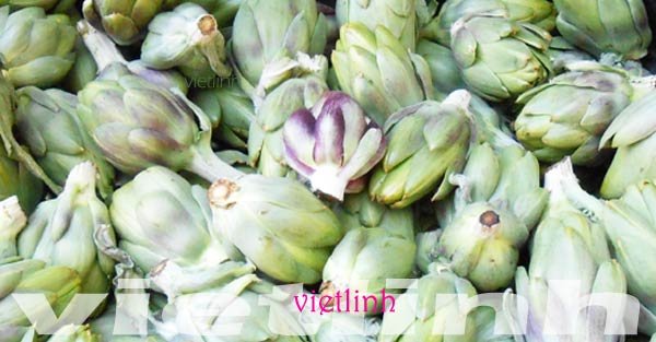 Kỹ thuật bảo quản rau quả tươi