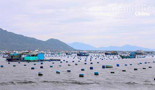 Chủ động ứng phó bão Kalmaegi trong lĩnh vực thủy sản