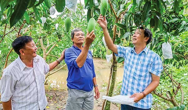An Giang: Xã Cù Lao Giêng phát triển cây ăn trái và du lịch sinh thái 