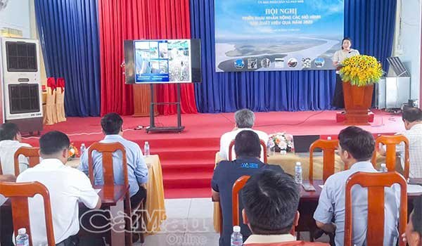 Đất Mới (Cà Mau) triển khai nhân rộng mô hình nuôi tôm thẻ chân trắng siêu thâm canh