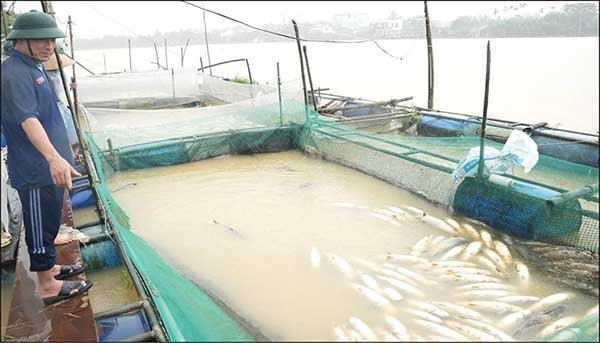 Ghi ở nơi con nước sông Bồ