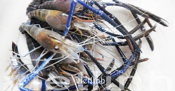 Vỏ tôm không có nhiều canxi