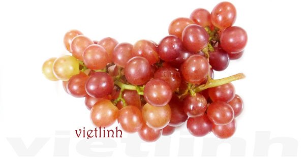 Nghịch lý: không ăn dầu mỡ nhưng gan vẫn tích mỡ vì các loại trái cây này