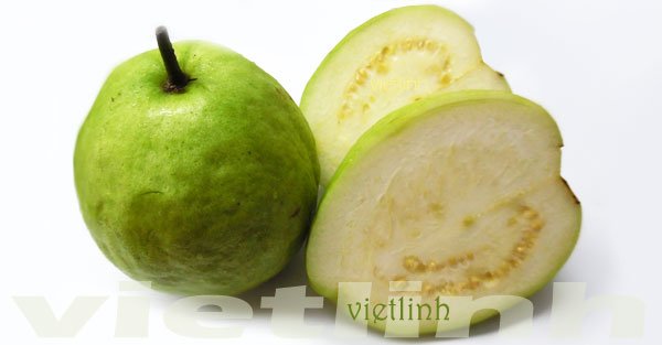 Trái ổi có nhiều vitamin C hơn cả cam, chanh