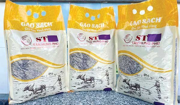 Hiệu quả liên kết trồng lúa tím xanh 