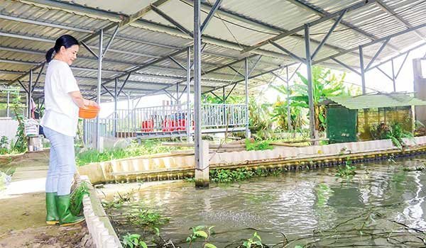 Kiếm tiền tỉ từ mô hình kinh tế tuần hoàn 